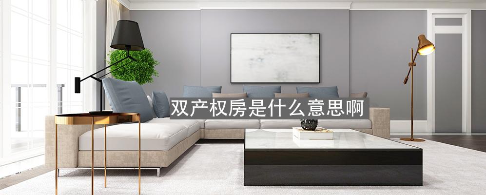 双产权房是什么意思啊我爱我家