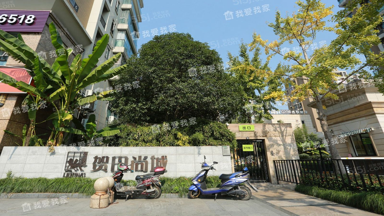 贺田尚城怎么样