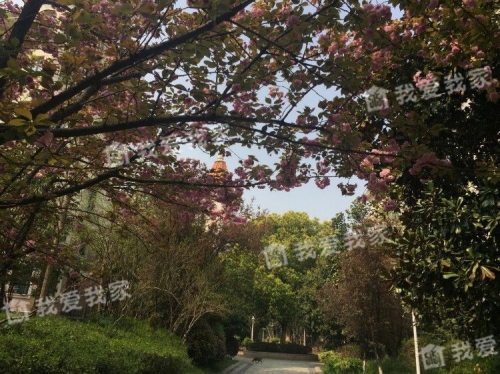 市政天元城花语座