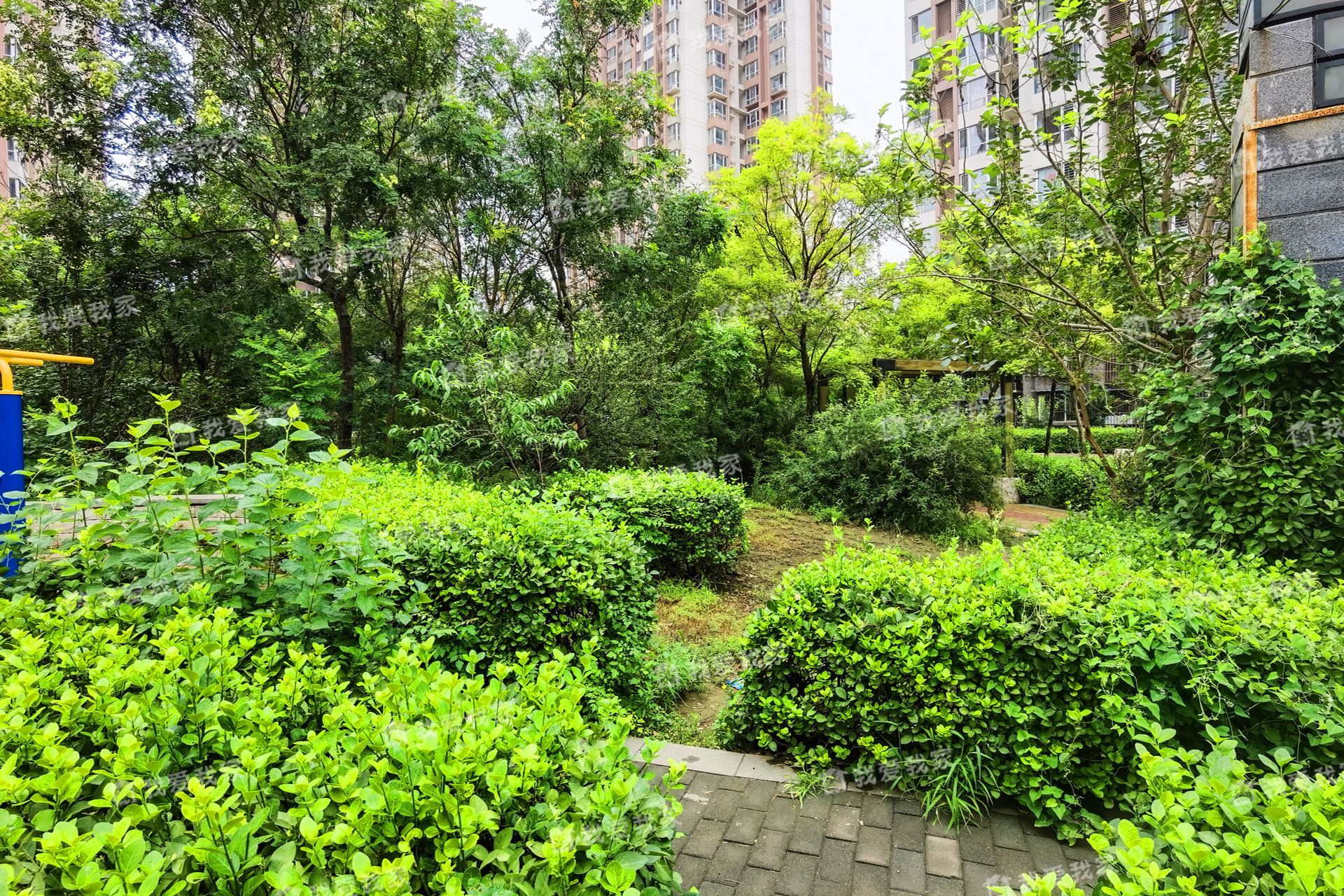 隆盛花园怎么样