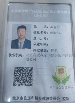 我爱我家经纪人苏晨阳